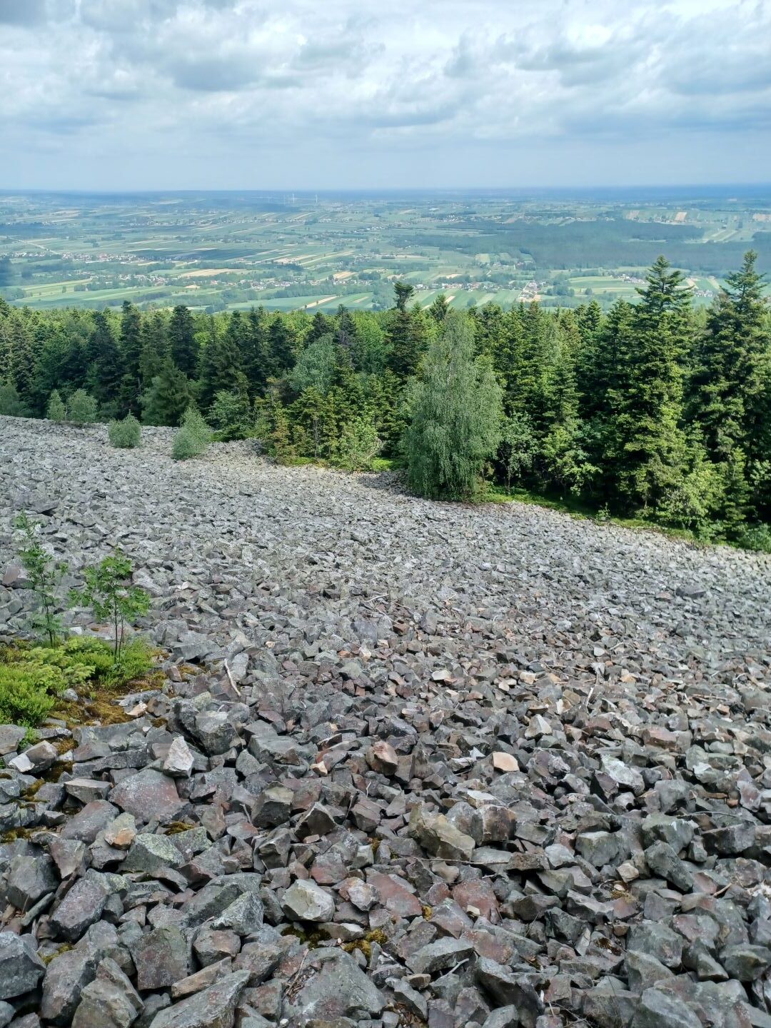 Zabytki i ruiny zamków