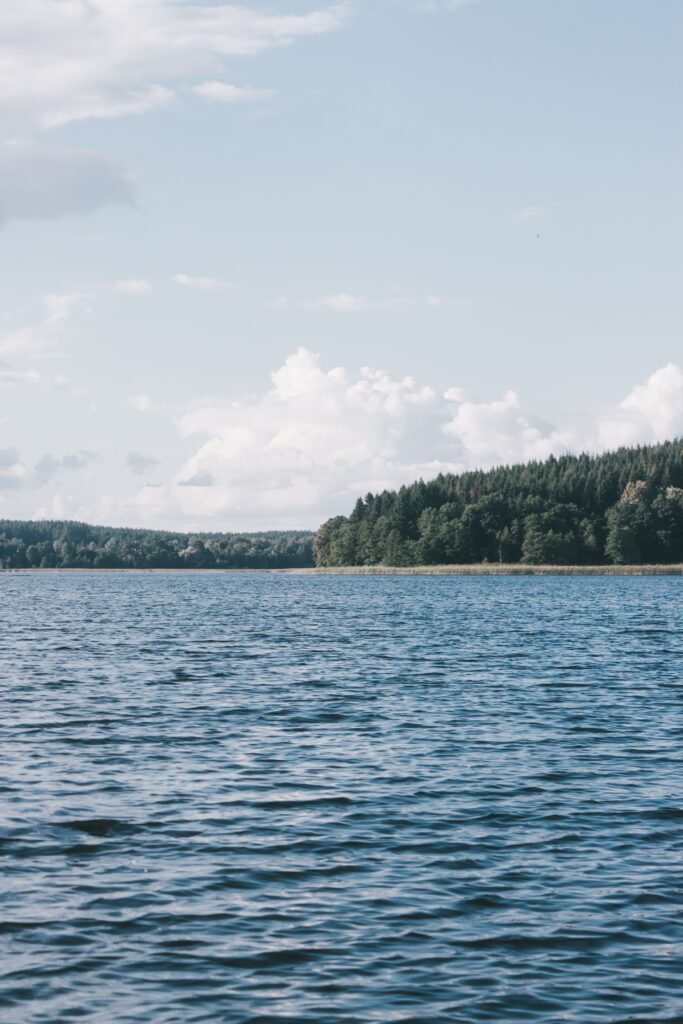 Pexels dplainer 27597952