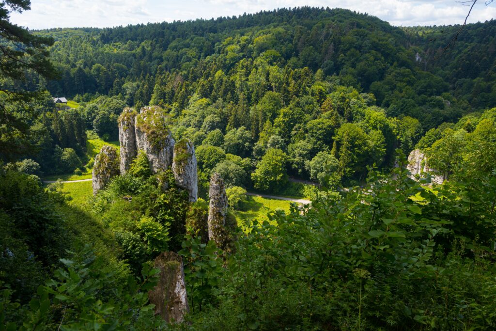 Pexels sylwiabartyzel 37513970