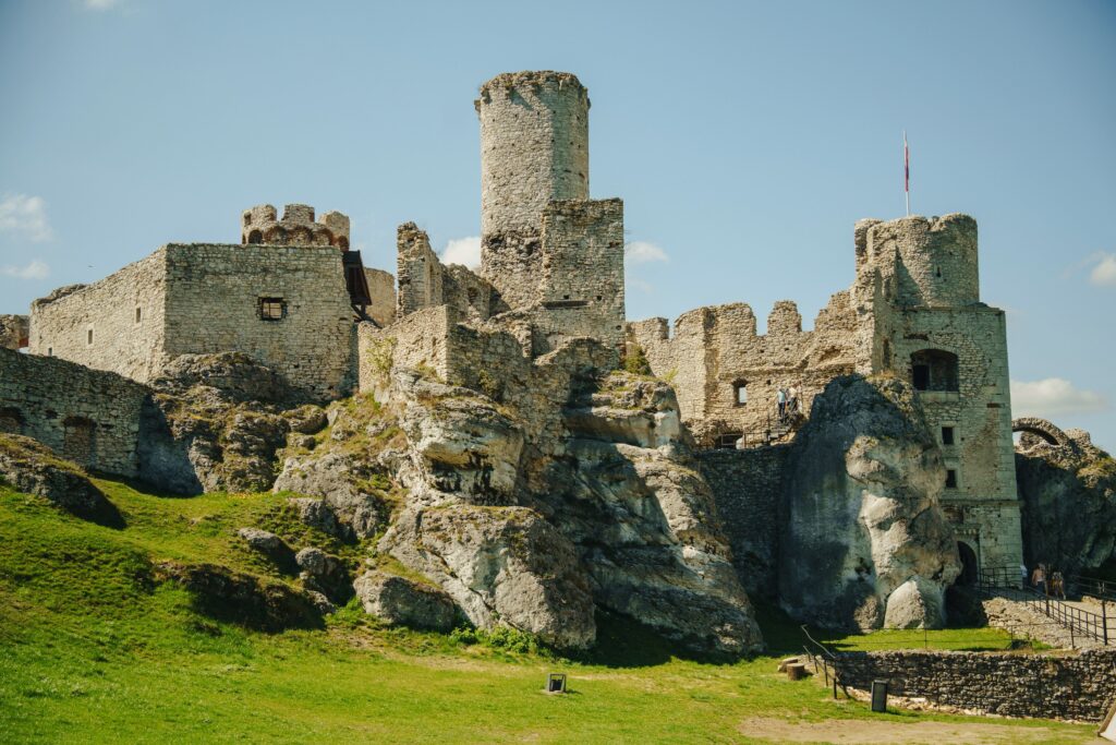 Pexels dawidtkocz 35751141