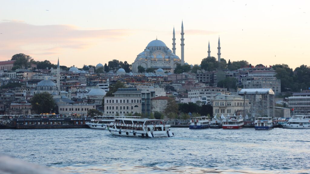Pexels fatmanursimsek 27993197